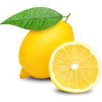 Hydrolat de citron pur pressé à froid certifié GMP, vente en gros en vrac de 10 000 kg en Inde avec livraison rapide