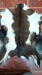 ผิวแพะระดับพรีเมี่ยมของเนเฟอร์ติติติสำหรับตกแต่งบ้านและงานฝีมือแห้งเร็วขนาด6-8ตารางฟุต - Product Image 2