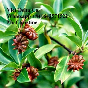 โป๊ยกั๊กแห้ง/Illiciuum Verum - Product Image 4