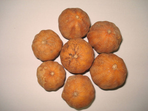 Kalansi en tranches séchées de 25 ml, vraie LIME séchée, produit vietnamien - Product Image 4