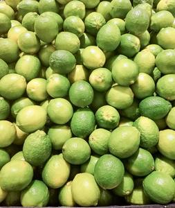 Limón orgánico fresco Premium Sudáfrica Natural - Product Image 4