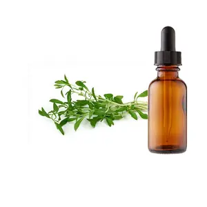 Manufacturer of Natural Anti-fungal Savory Essential Oil with Health and Skin care Benefits at low Prices