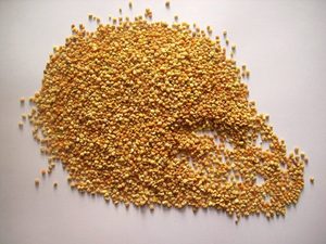 POLEN DE ABEJAS DE CALIDAD PREMIUM - Product Image 5