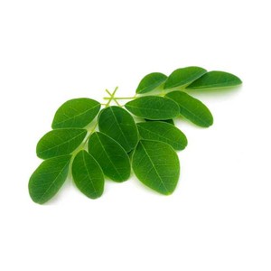 Huile de Moringa 100% pure, de qualité supérieure, pressée à froid, certifiée GMP, en provenance d'Inde - Product Image 3
