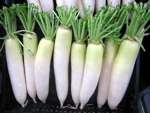 Soie radish blanche séchée à l'air, 2020, prix d'usine, offre du Vietnam - Product Image 5