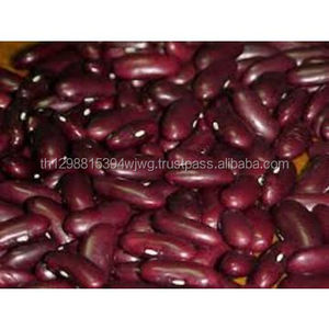 ถั่วแดงไตขนาดเล็ก - Product Image 4