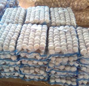 Pure and Natural <b>Fresh</b> <b>Garlic</b> - Product Image 1