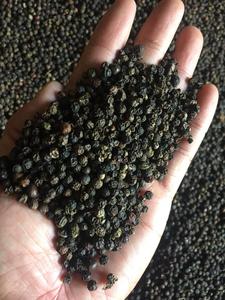 PIMIENTA NEGRA 200G/L-BAYAS LIGERAS PIMIENTA NEGRA PARA EXPORTAR DESDE VIETNAM-MEJOR PRECIO DE FÁBRICA - Product Image 2