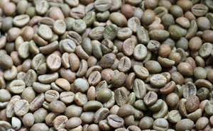 Robusta-granos de café verdes - Product Image 4
