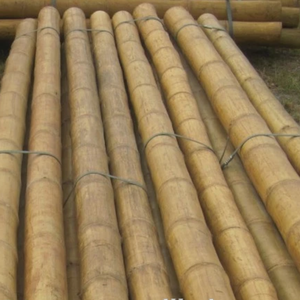 Grands pôles de bambou enveloppés en plastique, derrière les commandes - Product Image 6