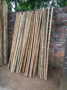 Cerca de bambú, bambú, vietnam - Product Image 3