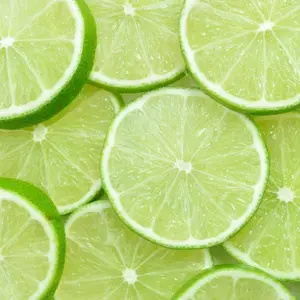 Organic fresh lemon / Lime suppliers Bulk quantity