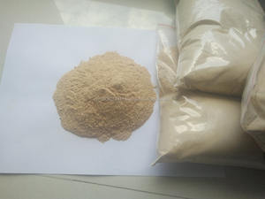 Kim Minh Brewer ยีสต์ผง-ฟีดเกรดเวียดนาม | โปรตีนวิตามินเกรดอาหารโคลีนคลอไรด์ | ส่งเสริมการเจริญเติบโตที่ดีต่อสุขภาพ | - Product Image 3