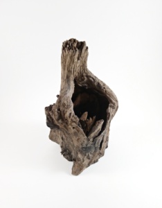 Pot de fleurs en forme de souche d'arbre naturelle - Product Image 2