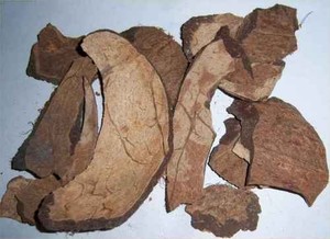 Polvo de cáscara de coco de Vietnam de la mejor calidad - Product Image 6