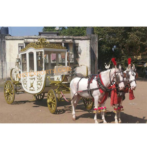 Buggy de mariage indien, 2 pièces, avec boîte AC, princesse, cheval - Product Image 1