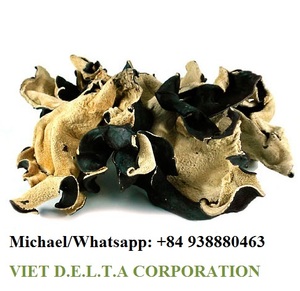 SETA OREJA MADERA-SETA NEGRA 2024 - Product Image 2