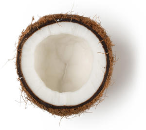 Noix de coco peinte, g, faible graisse, haute qualité FINE et moyenne qualité, dédie au VIETNAM - Product Image 5