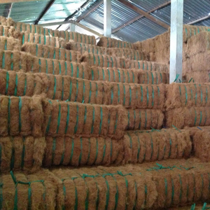 Fibra de coco de VIETNAM- 084 975584679 - Product Image 1