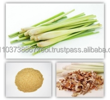 <b>Dried</b> Lemon <b>Grass</b> Powder High Quality Lemon <b>Grass</b> Extract in 2021 - Product Image 3