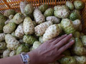 NONI CONGELÉ FRUIT ENTIÈREMENT NATUREL DE COULEUR VERTE POUR L'EXPORTATION GRANDE TAILLE POUR LA SANTÉ MEILLEURE VENTE - Product Image 4