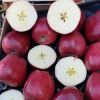 ताजा सेब लाल स्वादिष्ट ताजा फल ग्रीक मूल