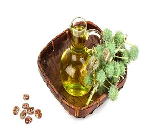 Best Supplier von Castor Seed Oil