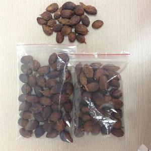 Frutos secos de jabón hechos en Vietnam - Product Image 5
