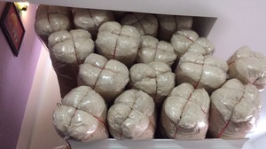 FIBRA DE CAPÓK NATURAL DE VIETNAM/ FIBRA DE CAPÓK VIETNAMITA PARA ALMOHADAS A BUEN PRECIO - Product Image 4