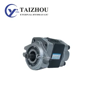 China Manufacturer Lifting Capacity 3 Tons Crane Hydraulic Pump SGP1 SGP2 For Tadano Crane