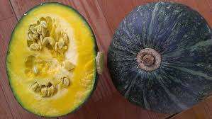 ผงฟักทองสด/ฟักทองสกัดพืชผลจากญี่ปุ่น - Product Image 5