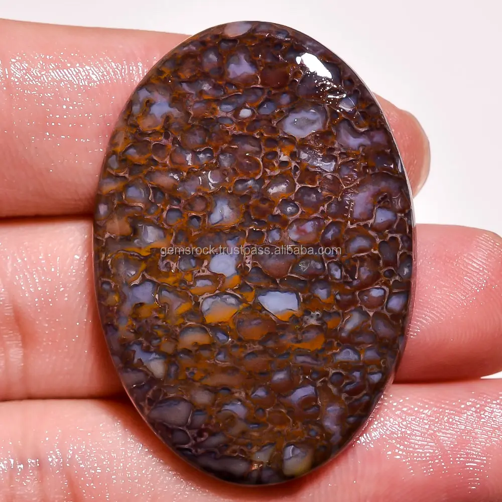 Natural Dinosaur Bone Mineral Semi Precious Loose Gemstone at Healing Tumbled Stone Brown Dinosaur Bone Cabochon Loose Gemstones