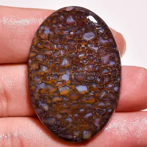 Dinossauro Natural Osso Mineral Semi Precioso Solto Gemstone em AAA + Cura Rolado Gem Pedra Brown Dinossauro Osso Pedras Preciosas Soltas