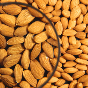 Quality Organic South Africa Almond Nuts - Product Image 1