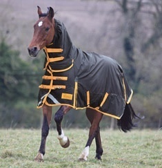 Couverture d'hiver de luxe pour cheval en tissu Oxford Ripstop 1200D imperméable avec col et rembourrage 300 g/m², respirante et durable - Product Image 5