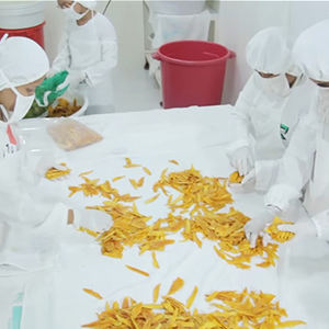 Deliciosa fruta de mango de secado suave natural 100% con precio razonable/Sra. Shyn - Product Image 3