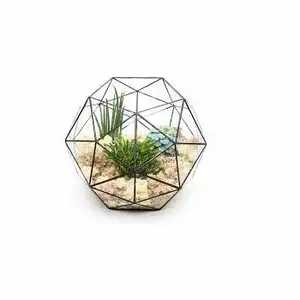 MODERN DESIGN DECORATIVE TERRARIUM CLASSIC DESIGN PLANT HOLDER GLASS PLANT HOLDER