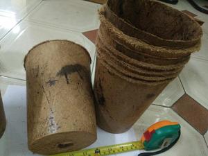 Macetas de COCO para flores, venta al por mayor - Product Image 6