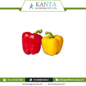 100% Pure and Natural High Quality Capsicum Seed <b>Extract</b> at Wholesale Price in Bulk Quantity From Indian Supplier - Product Image 6