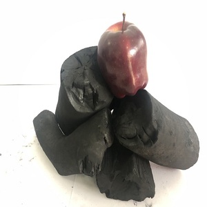 NO SMOKE NO POLLUTION, OUR CHARCOAL IS PURE 100% NATURAL, REPLANT, REUSE, FRUIT CHARCOAL,BBQ GRILL FAMOUS IN RUSSIA MOSCOW - Product Image 3