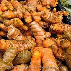 Aceite de cúrcuma a granel, Co2 (100% puro y Natural) - Product Image 5