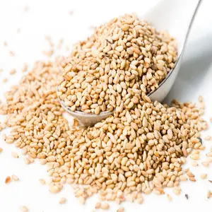 Natural Raw White Sesame Seeds | Crunchy & Nutty Flavor | Keto Friendly | Vegan | Source of Protein | Hulled | Indian Exporter