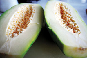 <b>PAPAYA</b> POWDER / RED LADY <b>PAPAYA</b> - Product Image 2