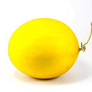 VIETNAM MIEL D'OR DEW MELON | FRUITS FRAIS - Product Image 1