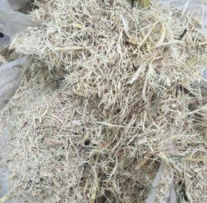 Residuos de bagazo de caña de azúcar oránico, gran venta, precio barato - Product Image 2