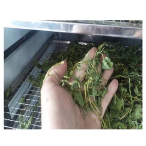 ปริมาณจํานวนมาก CENTELLA/GOTU KOLA สําหรับผู้นําเข้าจากเวียดนามในราคาที่สมเหตุสมผล - Product Image 1