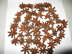 ANÍS ESTRELLADO-ALTA CALIDAD-PRECIO COMPETITIVO BUNGA LAWANG ALTA CALIDAD - Product Image 4