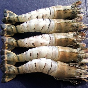 Camarones alimentar los probióticos - Product Image 2