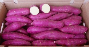 VENTA CALIENTE PATATA DULCE/BATATA DOCE PARA IMPORTADORES EN EL MUNDO - Product Image 6