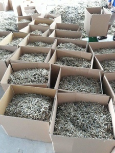 <b>Dried</b> Anchovy/ <b>Sprats</b> / Louis +84 943 481 858 - Product Image 2